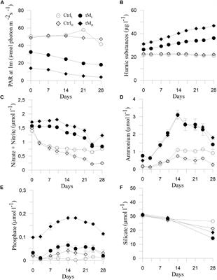 Response of Coastal Phytoplankton to High Inflows of Terrestrial Matter